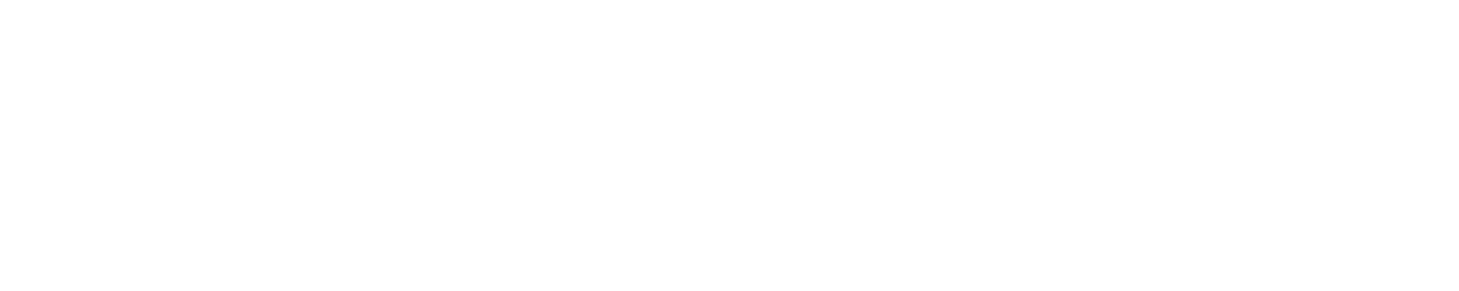 Hyundai White Horizontal